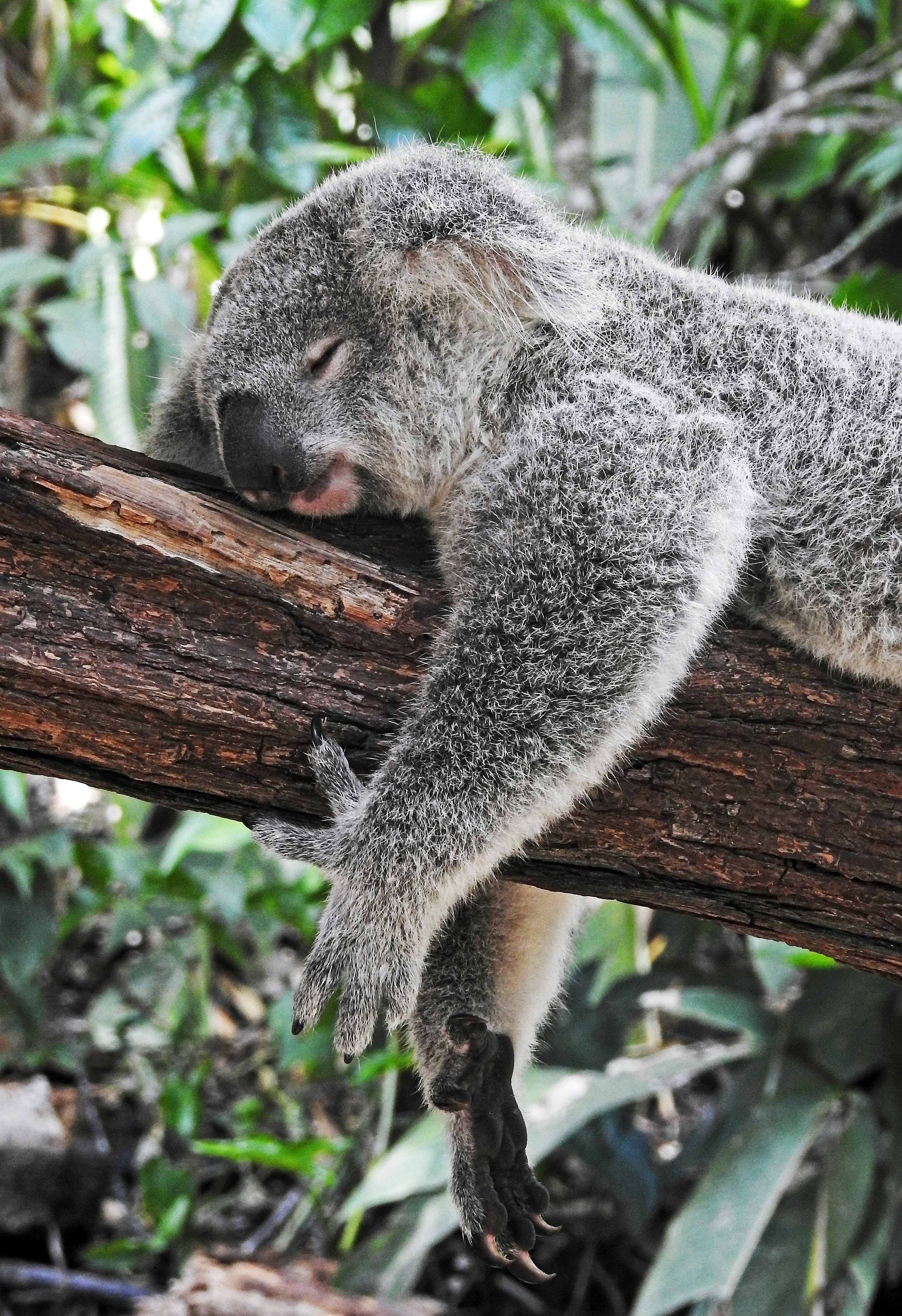 Person sleeping peacefully with headphones